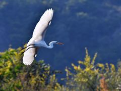 -长白岛森林公园