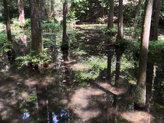 -西湖外事游船(花港观鱼码头)