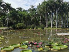 -中国科学院西双版纳热带植物园