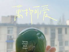 -许阿姨糕团店(南京总店)