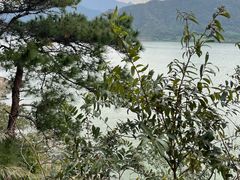 -羚羊峡古栈道森林公园