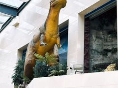 -安徽省地质博物馆