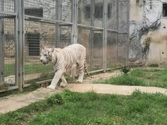 -黔灵山公园-南门售票处