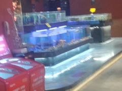 -阿伟海鲜楼·福建菜(延寿店)