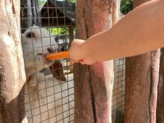 -石家庄市动物园