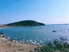 -烟墩角天鹅湖