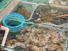 -考记泥焗鸡农庄·海鲜(北洛秘境店)