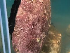 -同乐酒楼(皇后镇店)