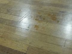 -沈坚强游泳俱乐部(武宁南路店)