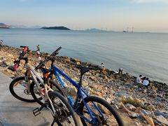 -宝安西湾红树林湿地公园