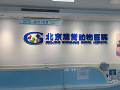 -北京观赏动物医院·24小时大型综合·猫专科·异宠专科