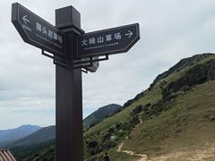 -大姆山草场