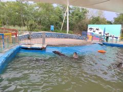 -北戴河圣蓝海洋公园