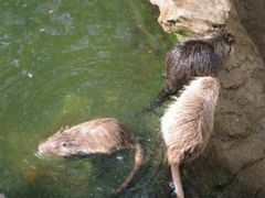 -广州保龄球馆(广州天河体育中心店)