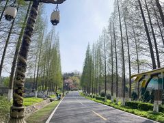 -宜兴龙背山森林公园