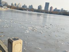 -莲花池公园