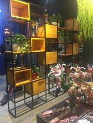 -藤野造型·专业烫染店