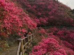 -木兰云雾山