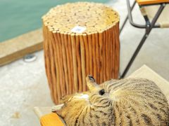 -东钱湖旅游度假区