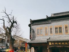 -老槐树煎包