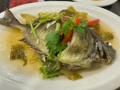 -长平肥姐白粥·海鲜打冷