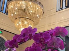 -虹御轩·传承江浙菜(虹桥店)