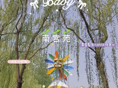 -南宫五洲植物乐园