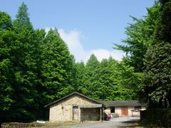 -山王坪喀斯特国家生态公园