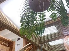 -多哥水傣味餐厅(司马巷店)