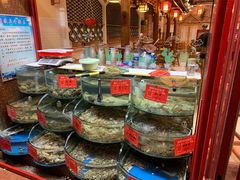 -东来菜馆•手抓海鲜家常菜•海鲜锅贴(鸽子窝店)