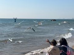 -北戴河东海水浴场