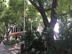 -鲨鱼醉鲜坊