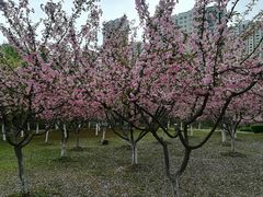 -白塘生态植物园