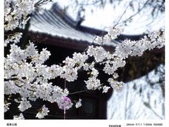 -堤角公园