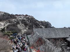 -泰山风景名胜区