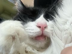 -平行世界·猫咖(首经贸店)