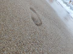 -玫瑰海岸文化旅游度假区