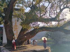 -上坦村