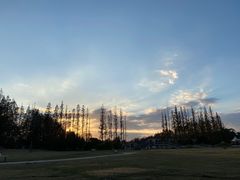 -上海长兴岛郊野公园