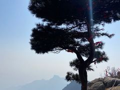 -泰山风景名胜区