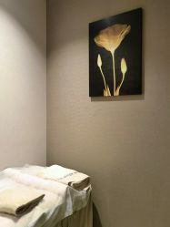 -DR REBORN美容·养发·身体