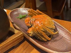 -花潮料理艺食馆(SM新生活广场店)