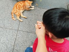 -晓港公园