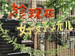 -朗丽兹自助餐厅