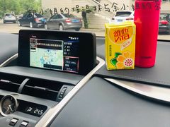 -福建省奥林匹克体育中心游泳馆