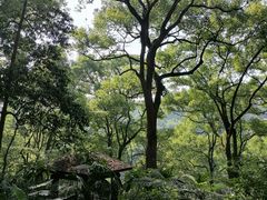 -忠山公园