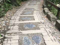 -太鲁阁公园