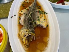 -骏莱海鲜鱼港(五角场店)