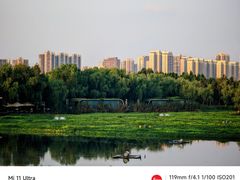 -洋湖国家湿地公园