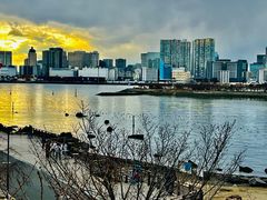 -台场海滨公园船码头